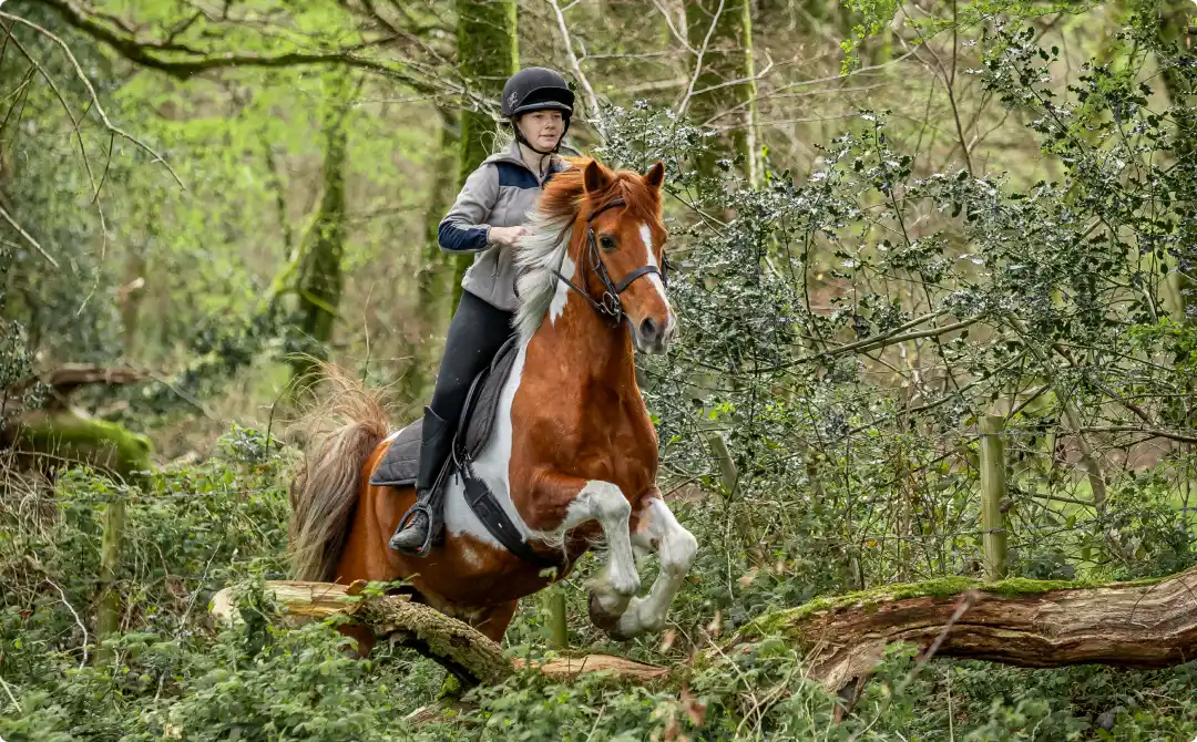 Horse and Pony Treks