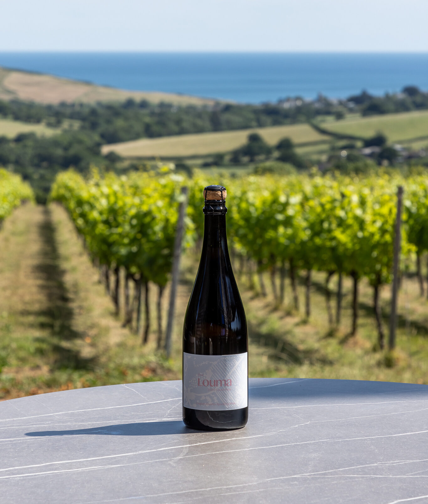 JBP_LOuma_July25_Low_002