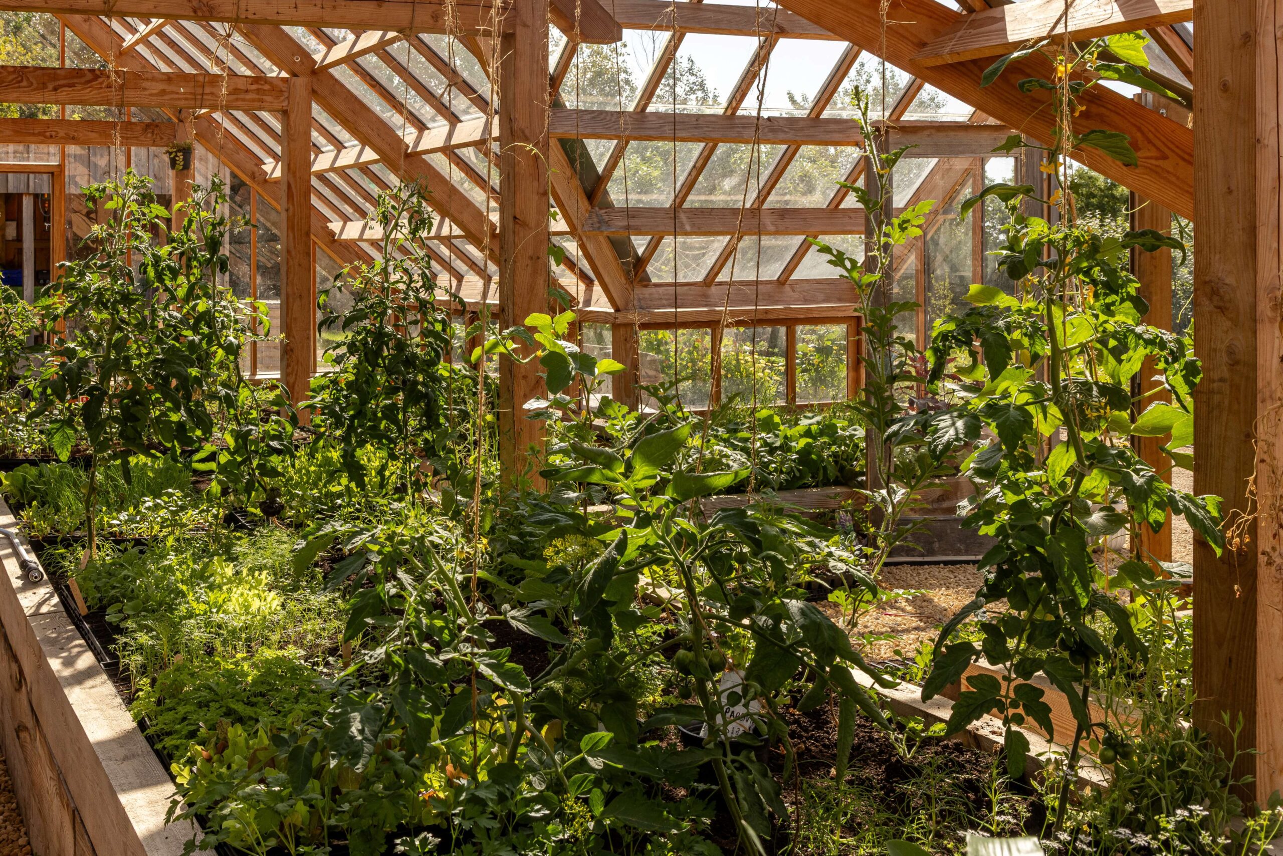 JBP_Louma_July25_High_079 (1)