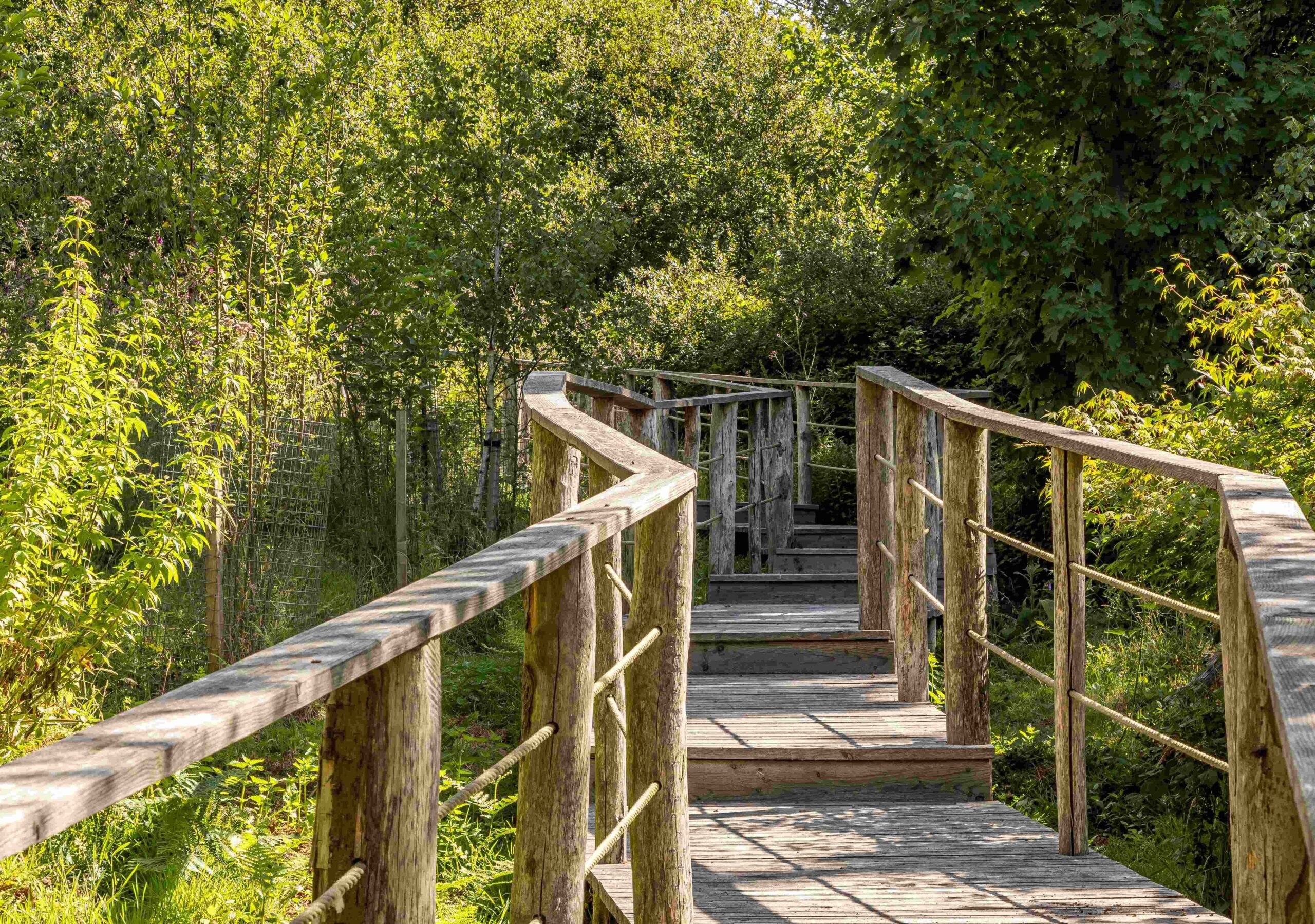 JBP_Louma_July25_High_099 (1)