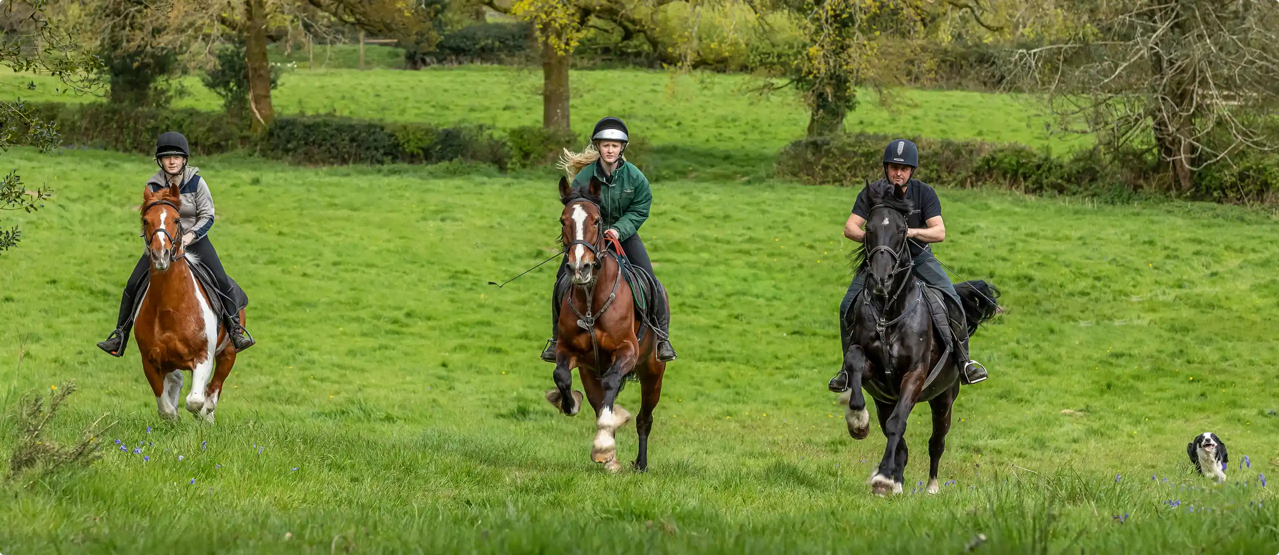 horse-and-pony-treks
