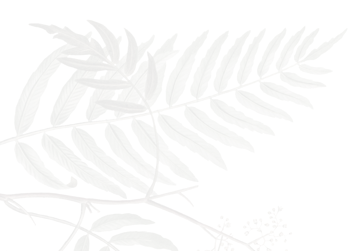 testimonial left image