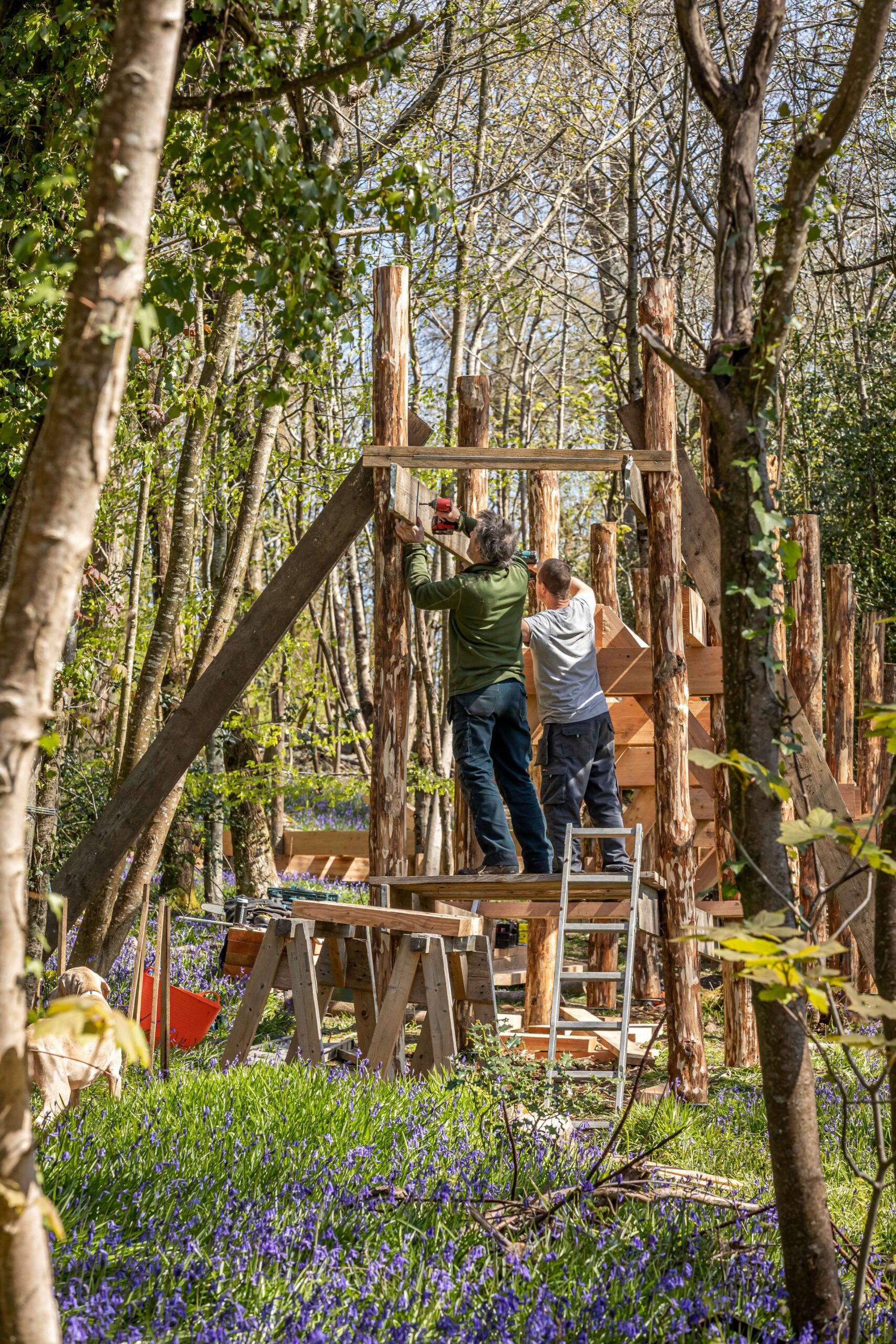 Development of Louma (1)