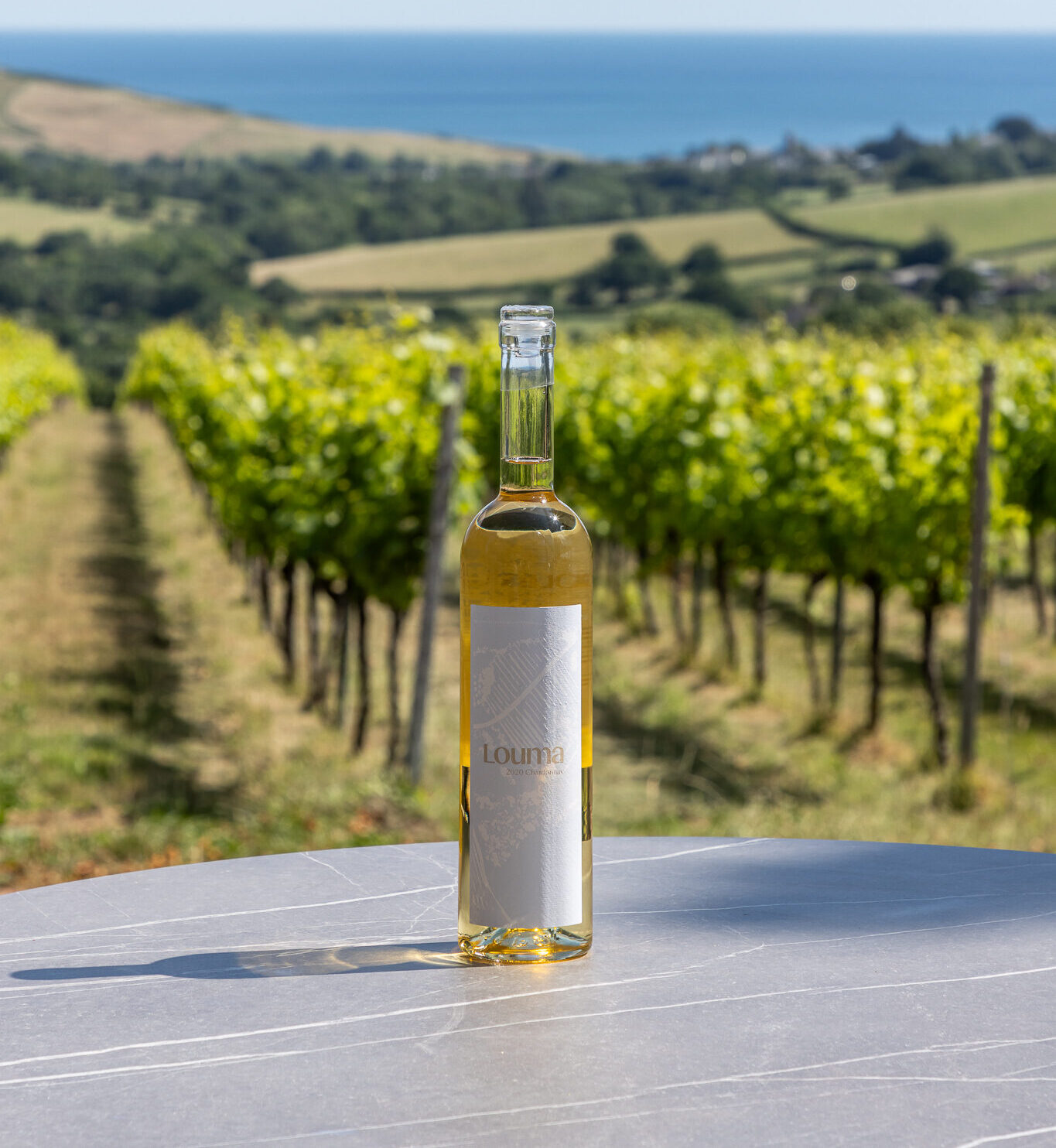 JBP_LOuma_July25_Low_003