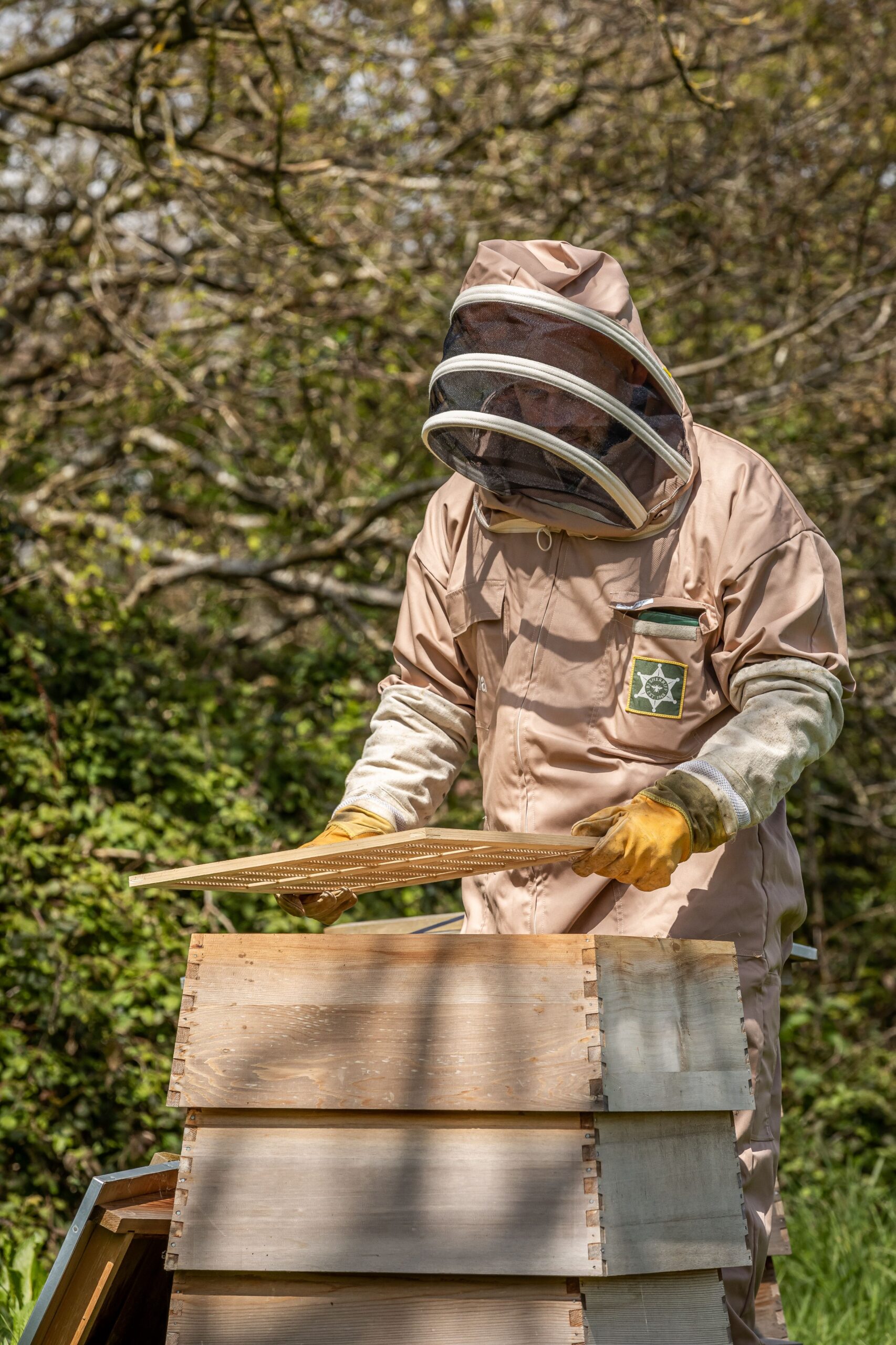 JBP_Louma_Apr23_High_136 (1)