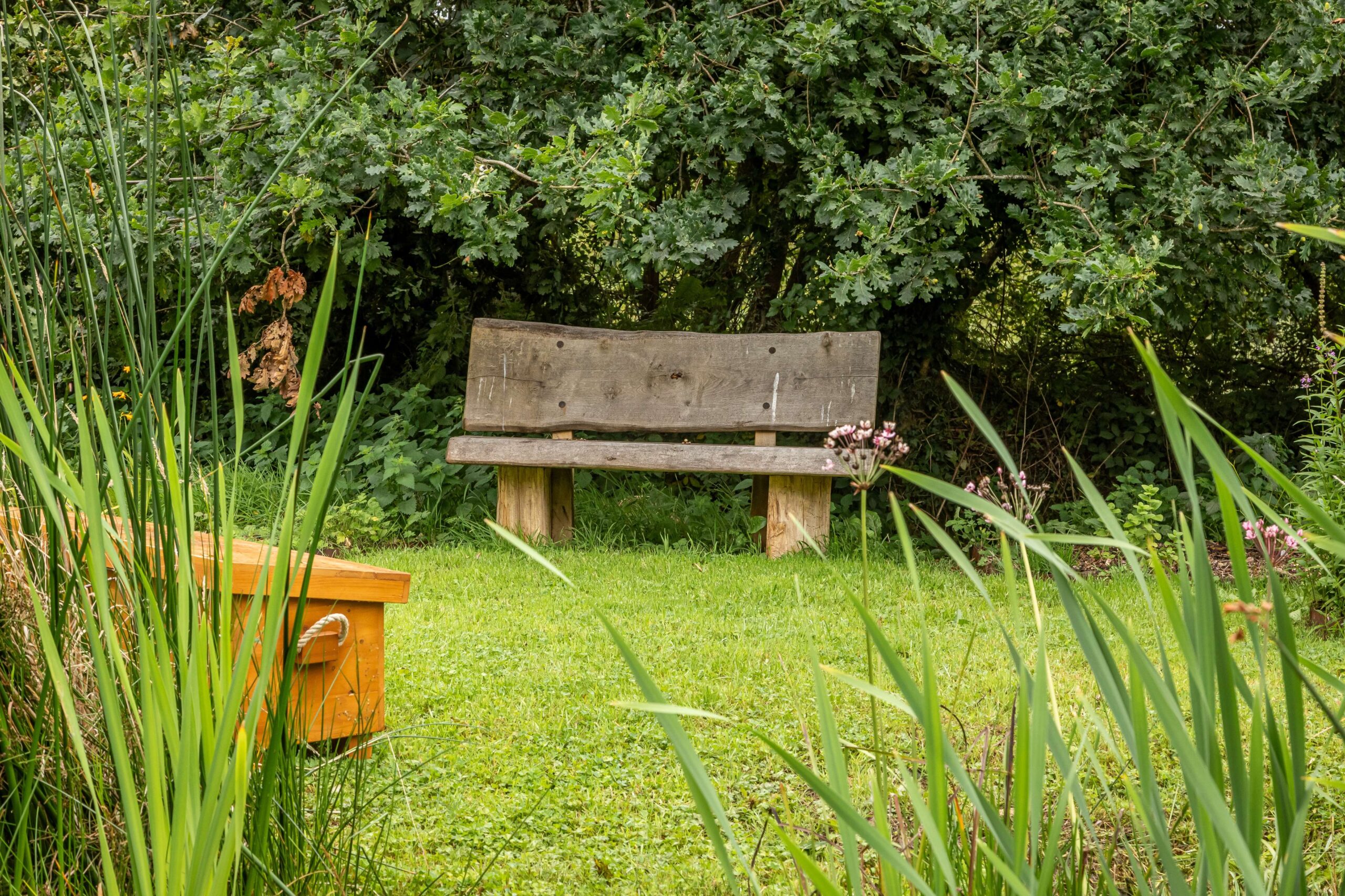 JBP_Louma_Aug23_High_127