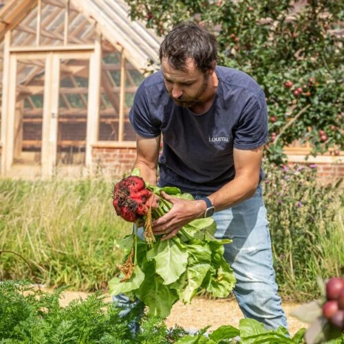 Jon-Davison-scaled-500×500