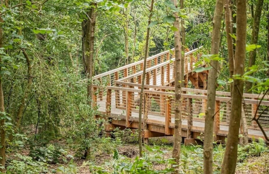 Louma-A-Special-Walk-Through-The-Woods-