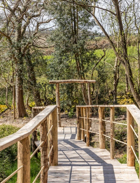 Louma-walk-in-the-woods-walkway-spence-plantation–458×600