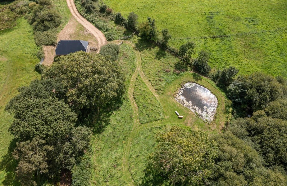 Louma_Guppy_pond_dorsetretreat-924×600