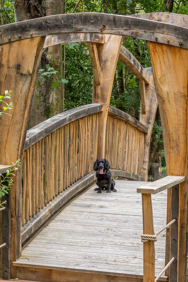 Louma_Woodland Walk (1)