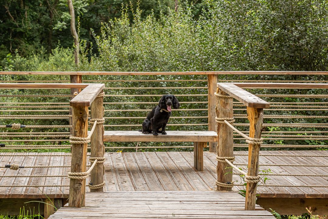 Louma_Woodland Walk (3)