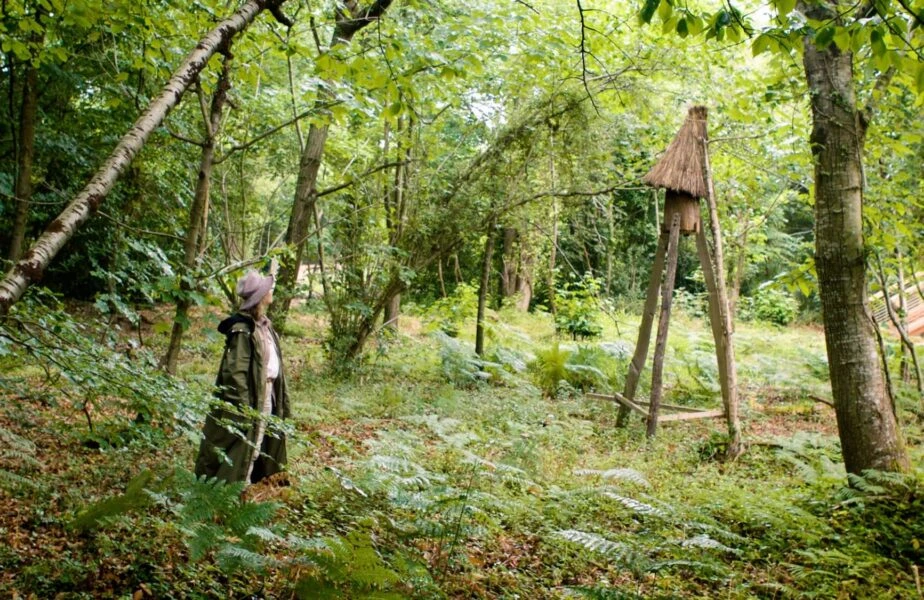 Restore-Our-Woodlands-Journal-Key-Photo-1-924×600