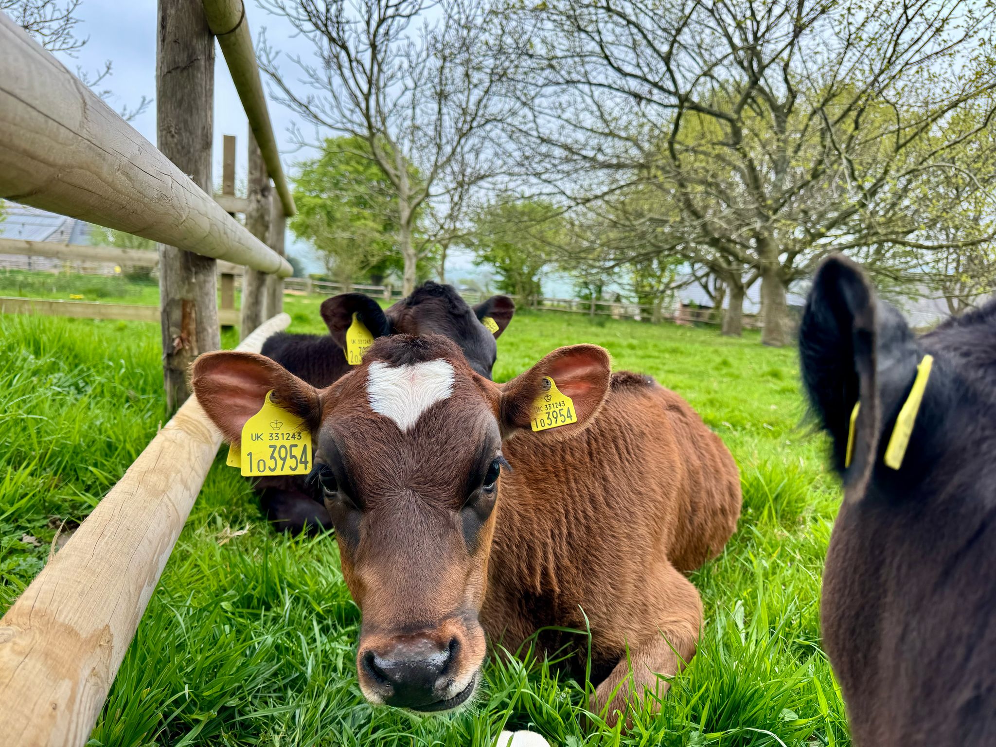 WhatsApp Image 2025-04-24 at 17.38.15_969d6f24