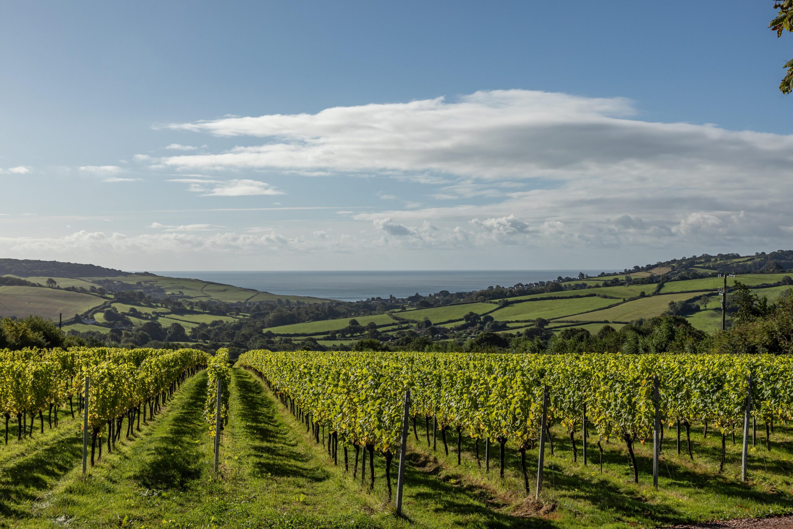 JBP_Louma_Sept11-12_High_001 (1)