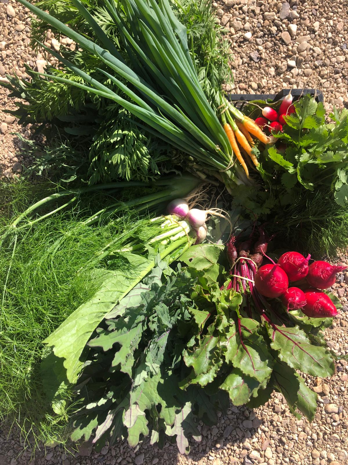 Louma Country Hotel Dining